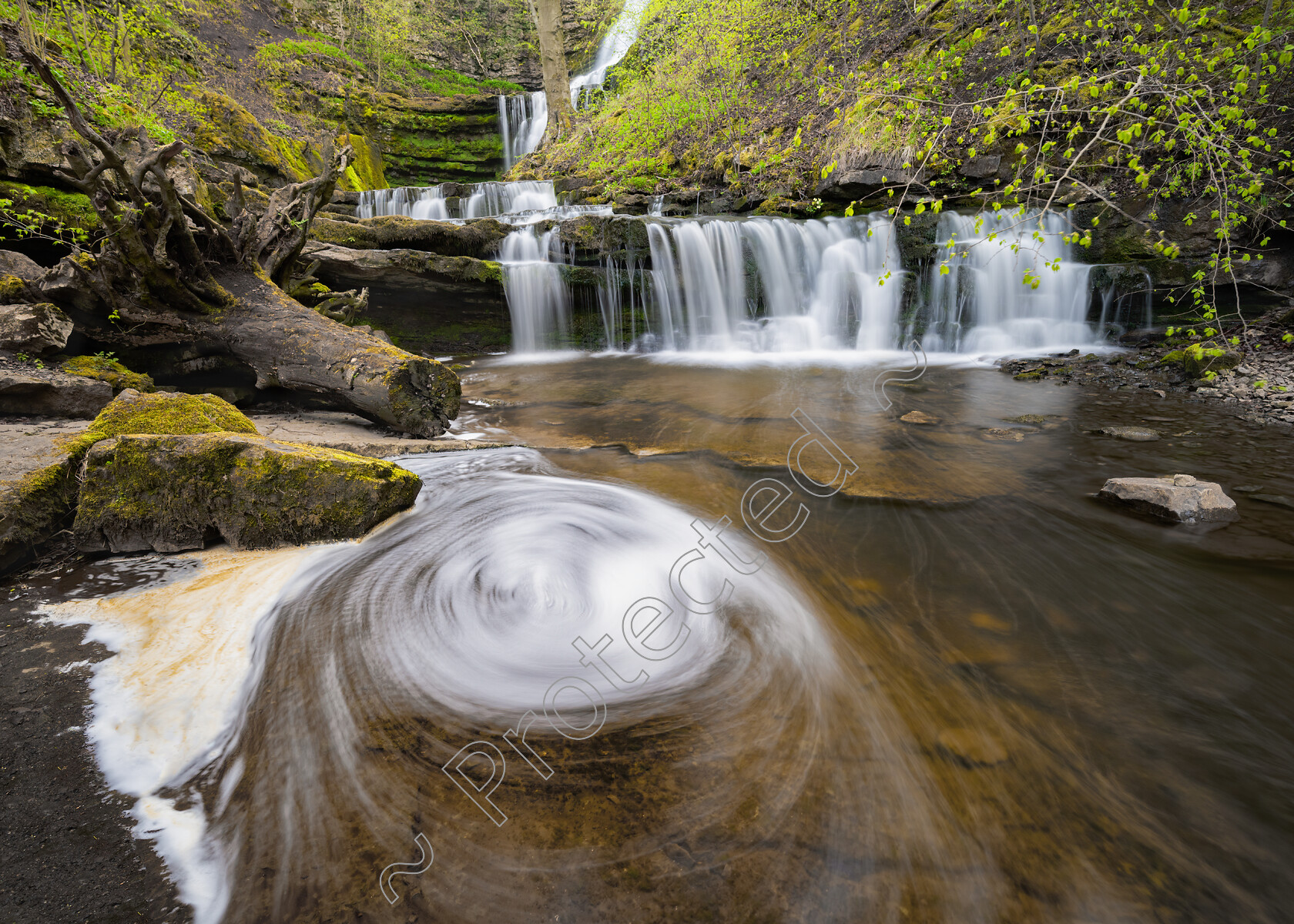 Scaleber-Force-Swirl