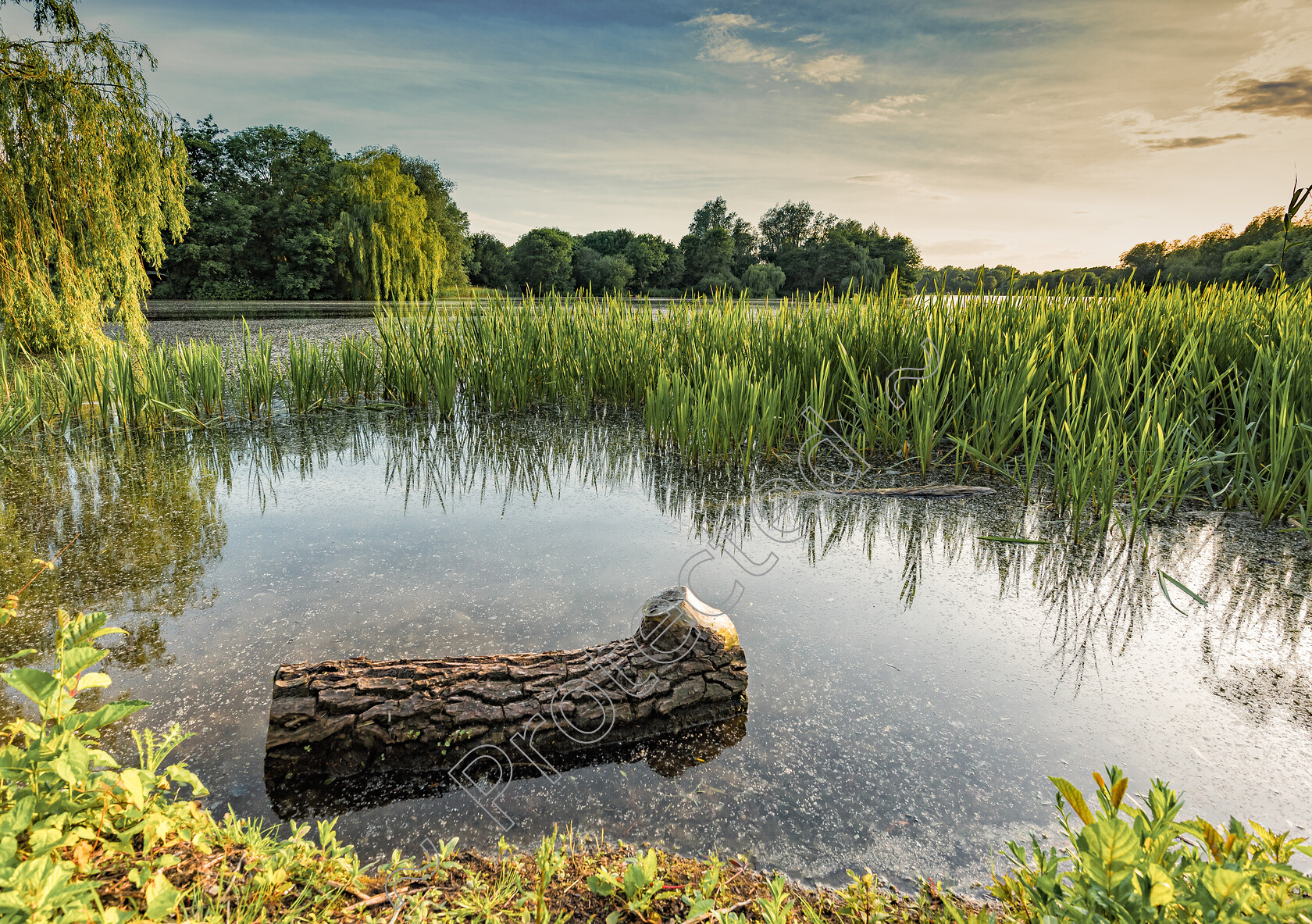 Lake-View