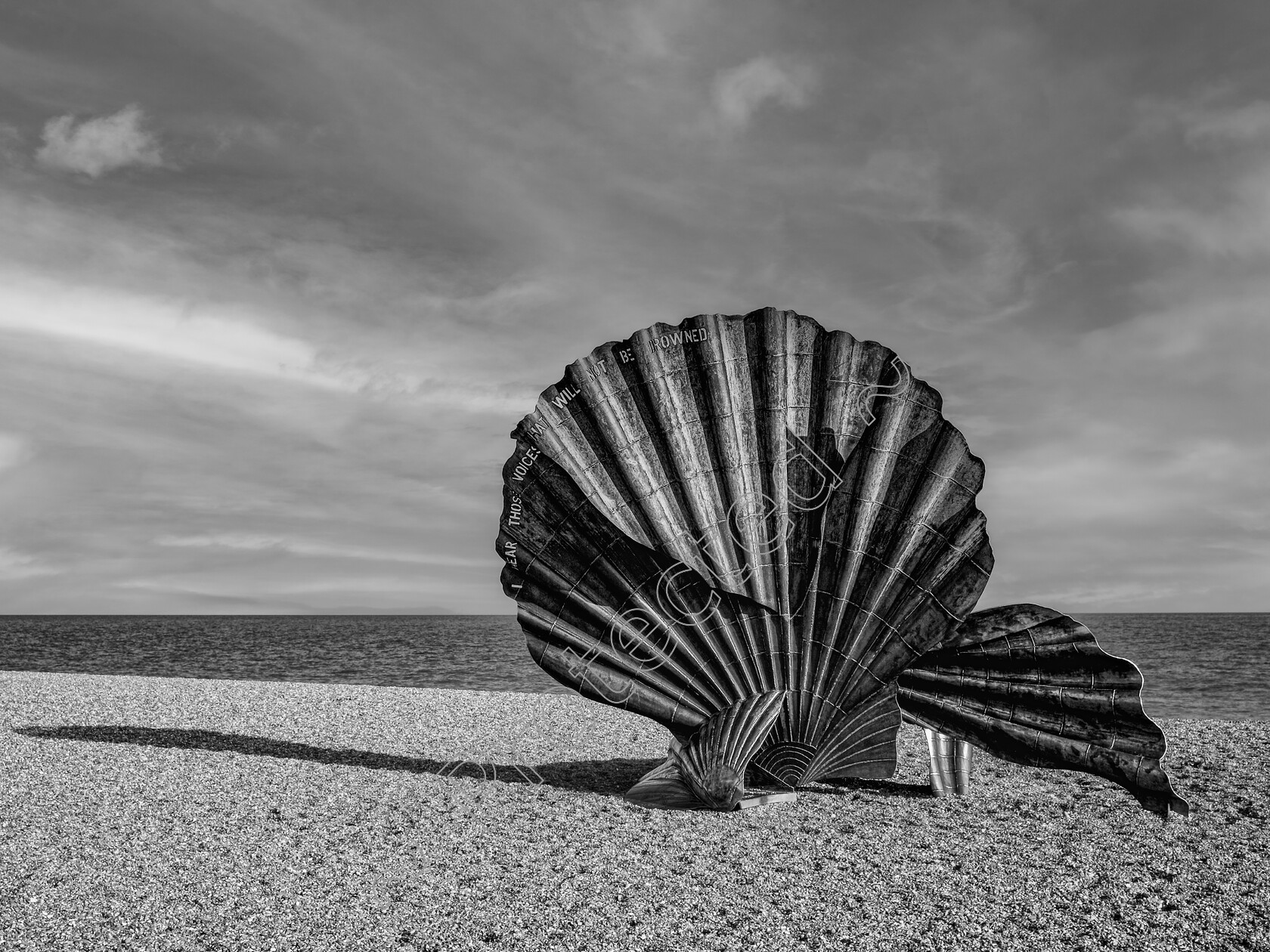 Scallop-Splendour-Revisited