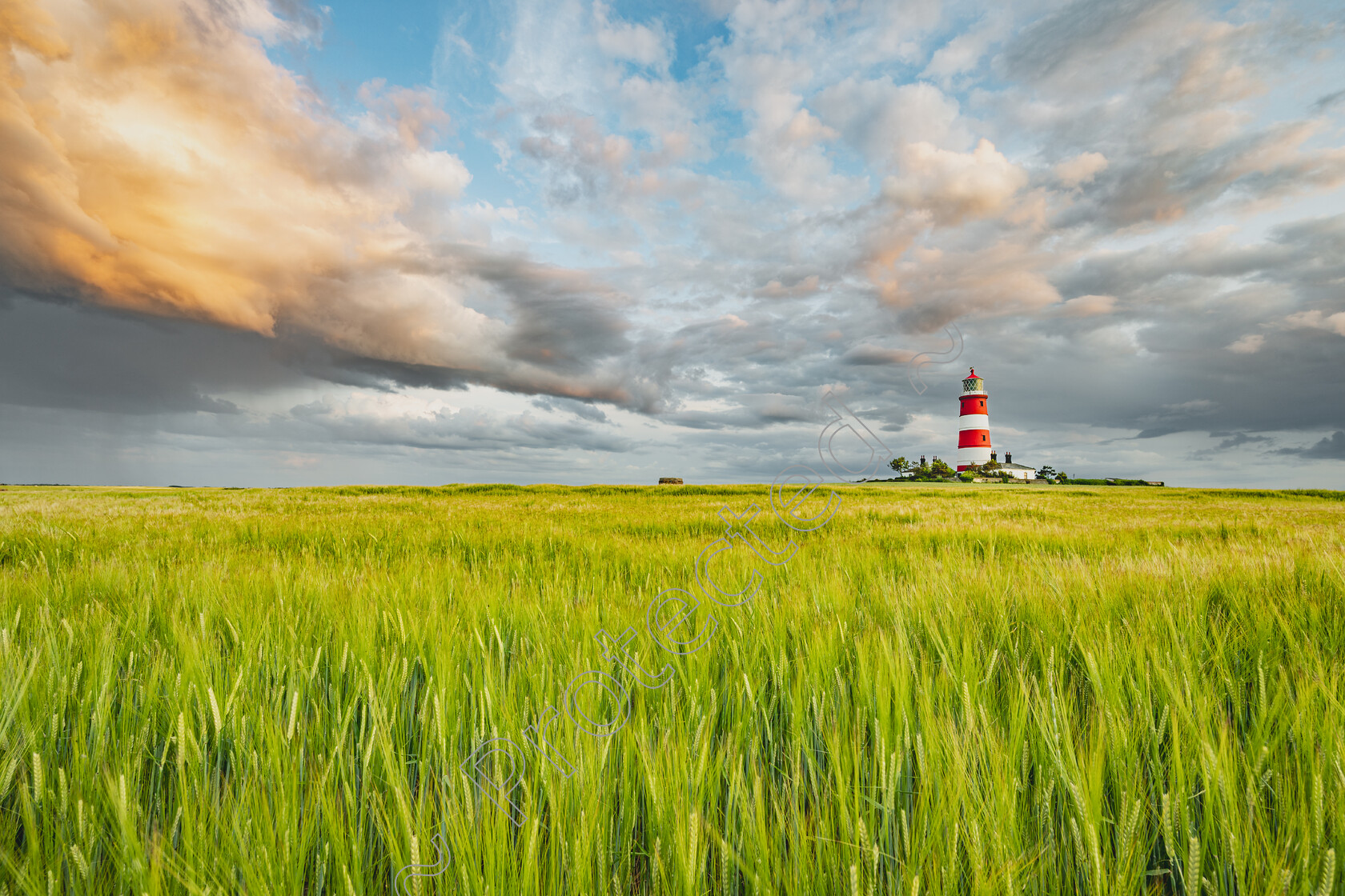 Happisburgh-Sunset-Crops