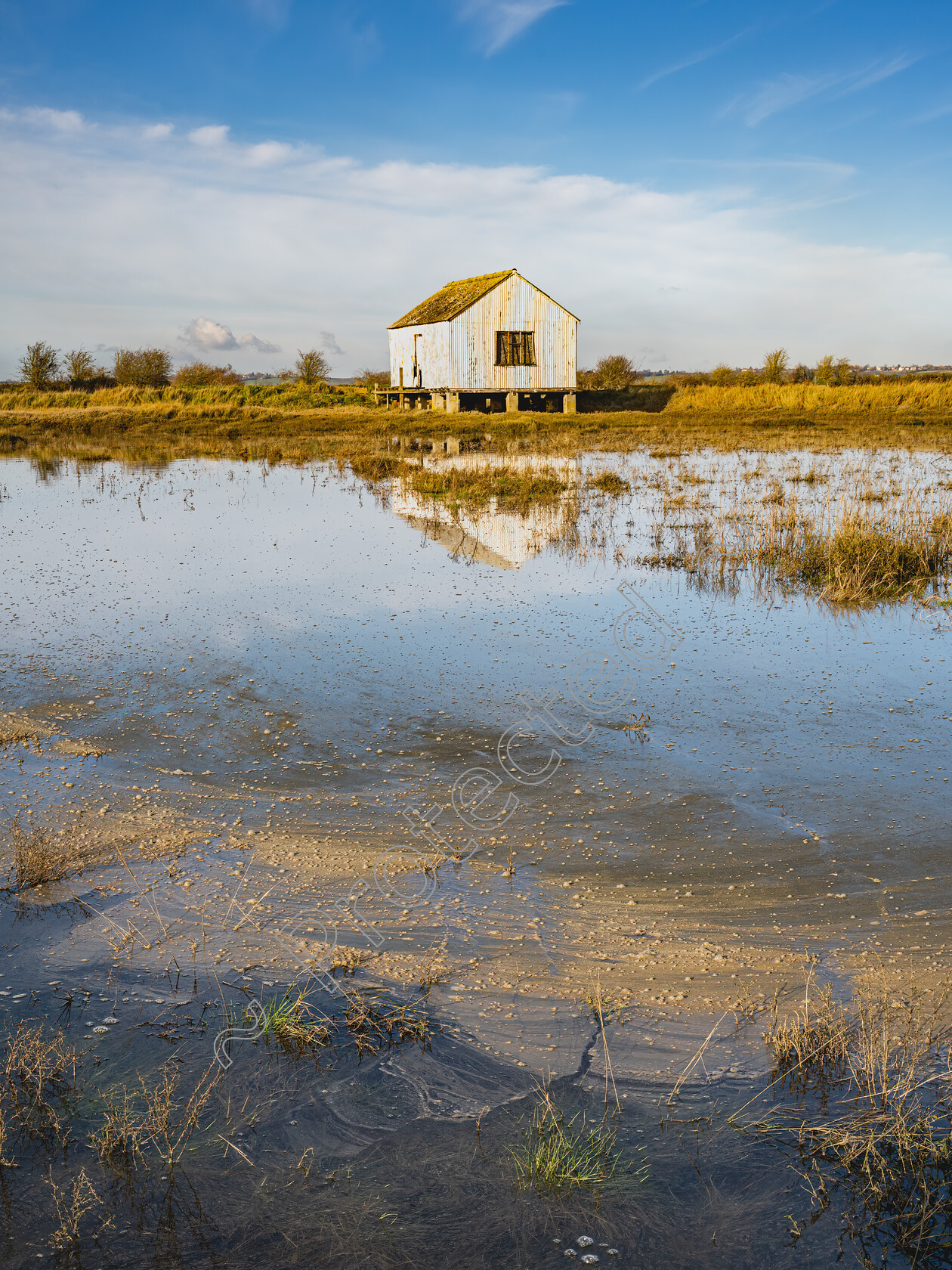 Oyster-Hut-and-Marsh-Lion-Creek