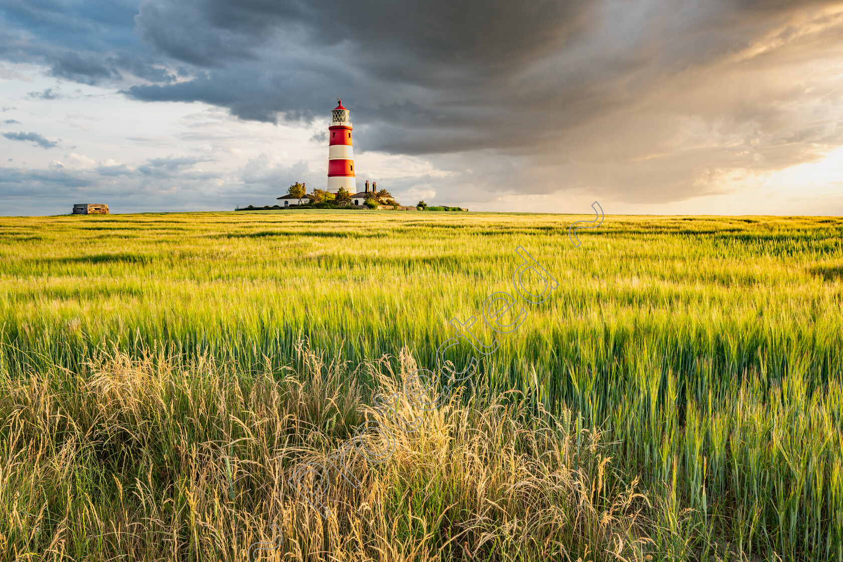 Happisburgh-Sunset-Grasses