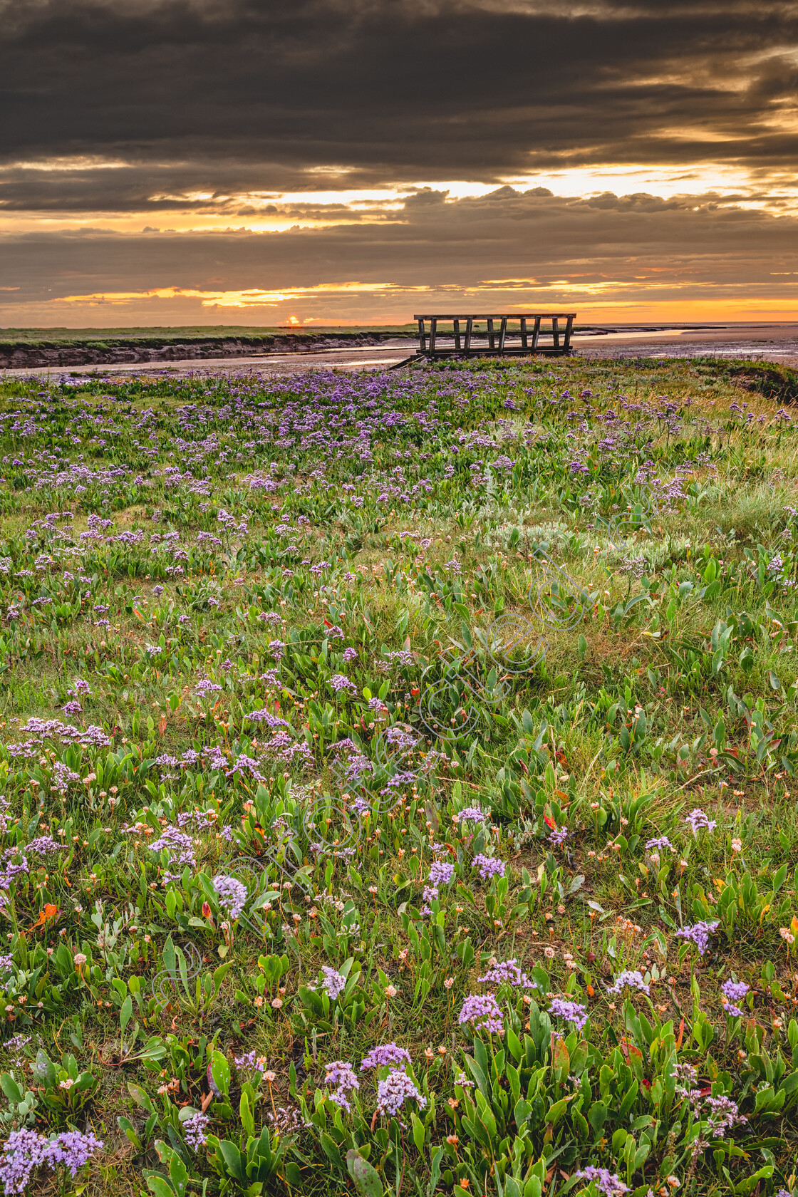 Stiffkey-Saltmarshes-0001