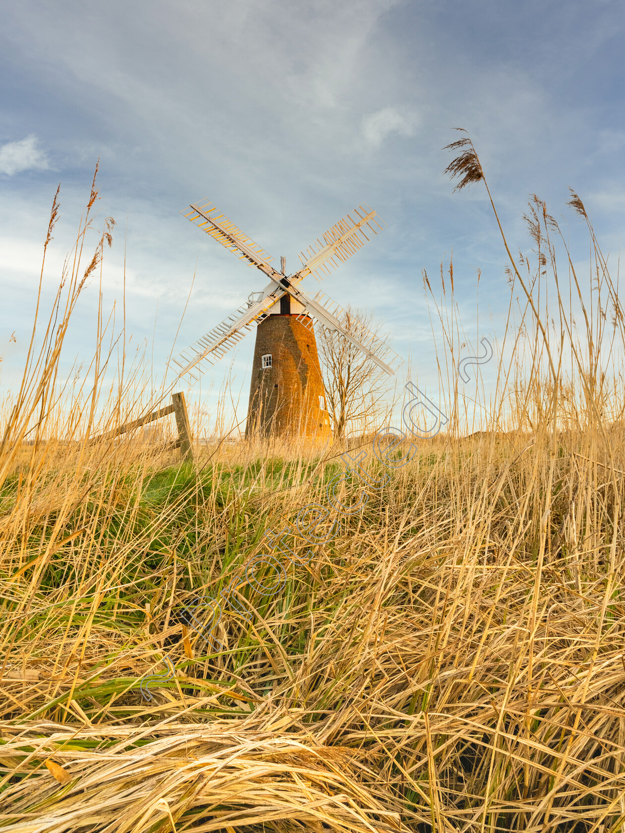 Hardley-Windmill-0001