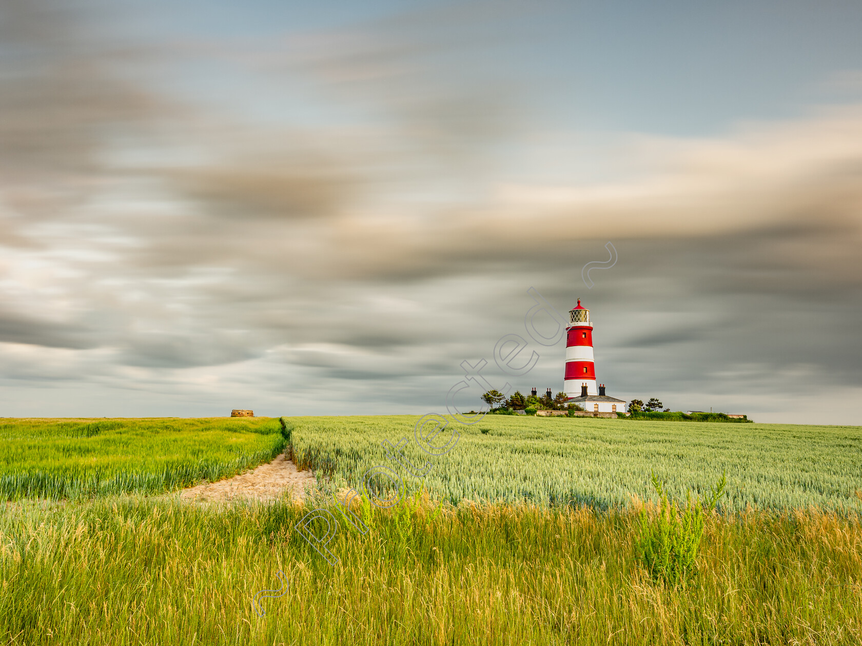 Happisburgh-Sunset-Grasses-and-Crops