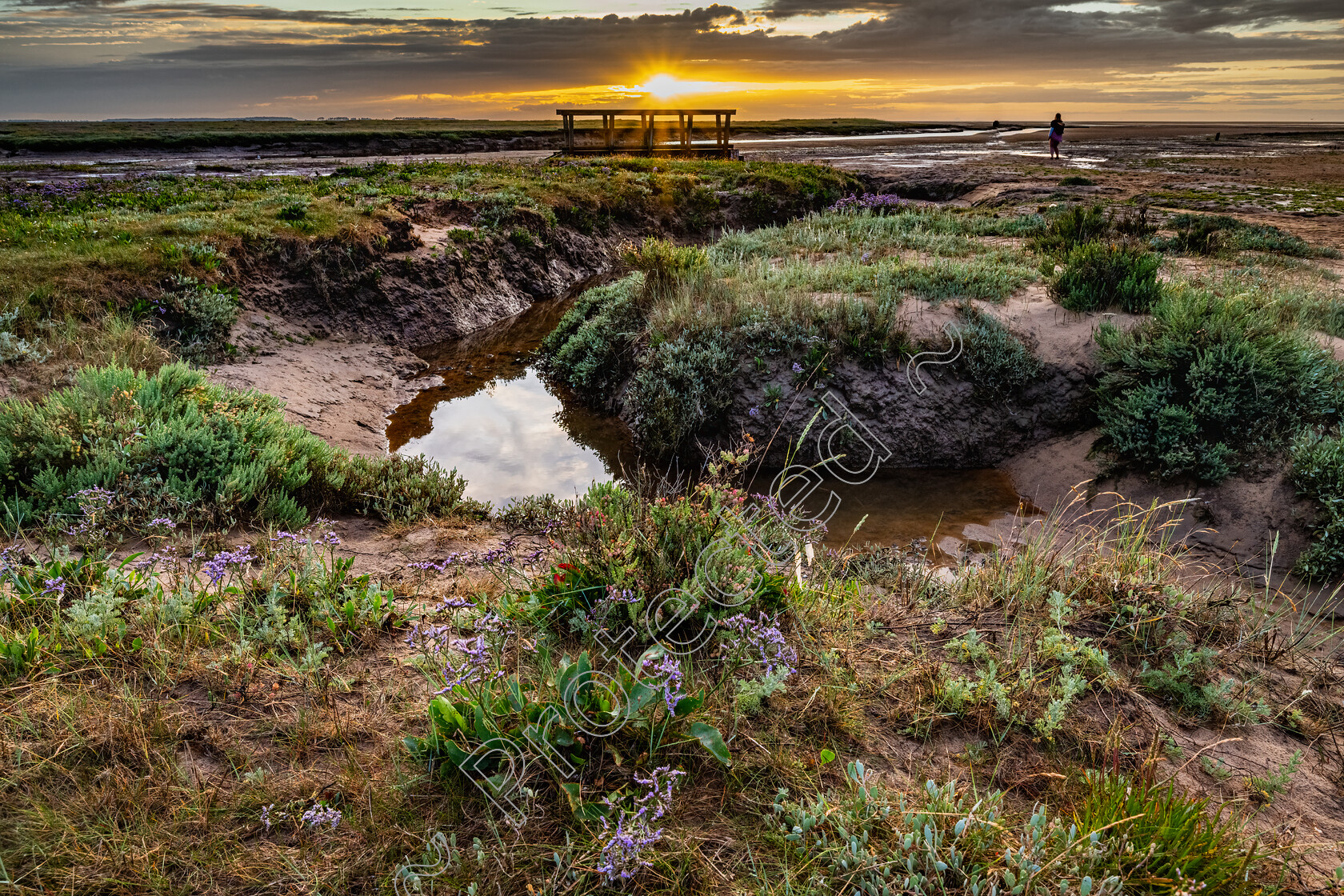 Stiffkey-Saltmarshes-0009