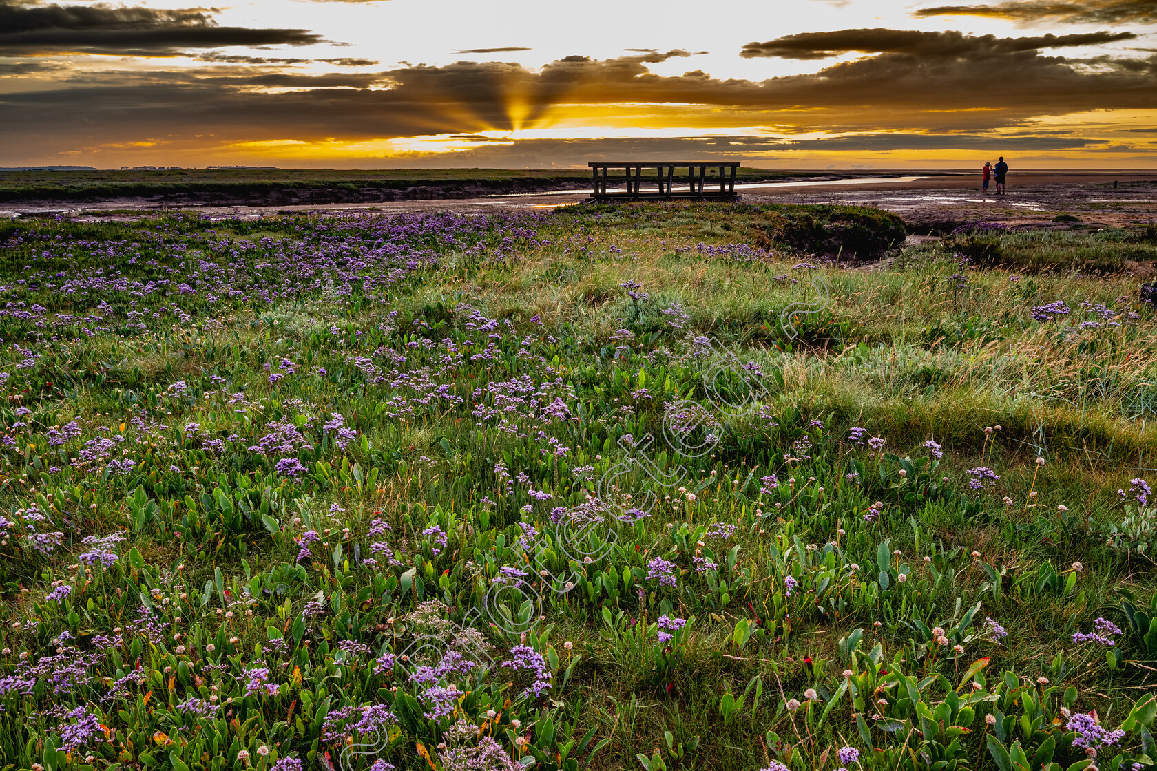 Stiffkey-Saltmarshes-0002