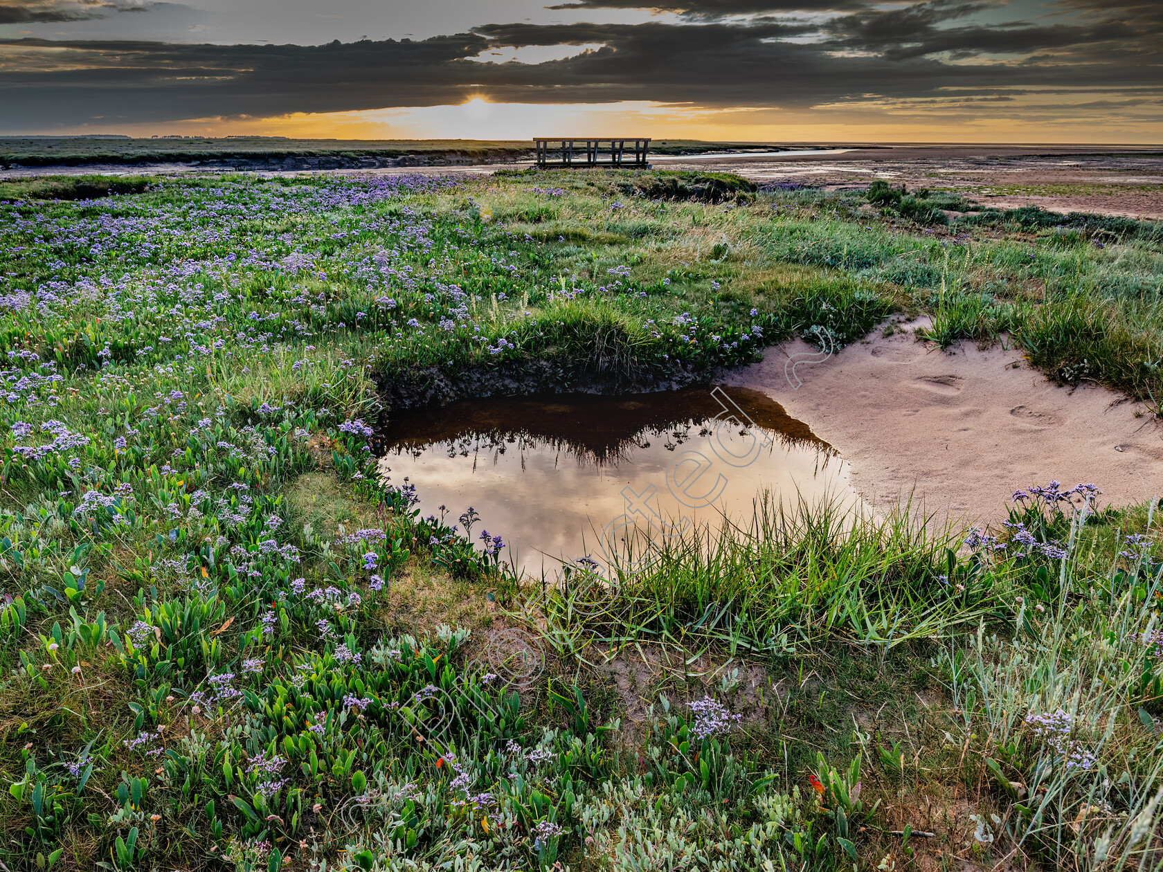 Stiffkey-Saltmarshes-0006