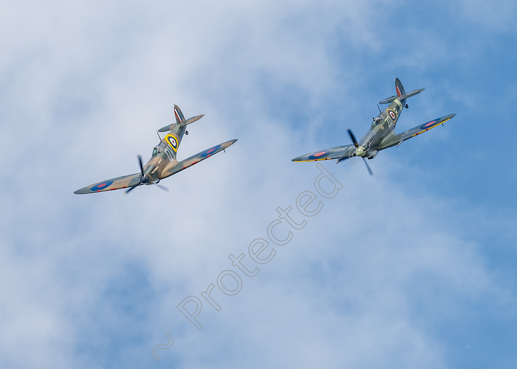 Spitfires-Diving